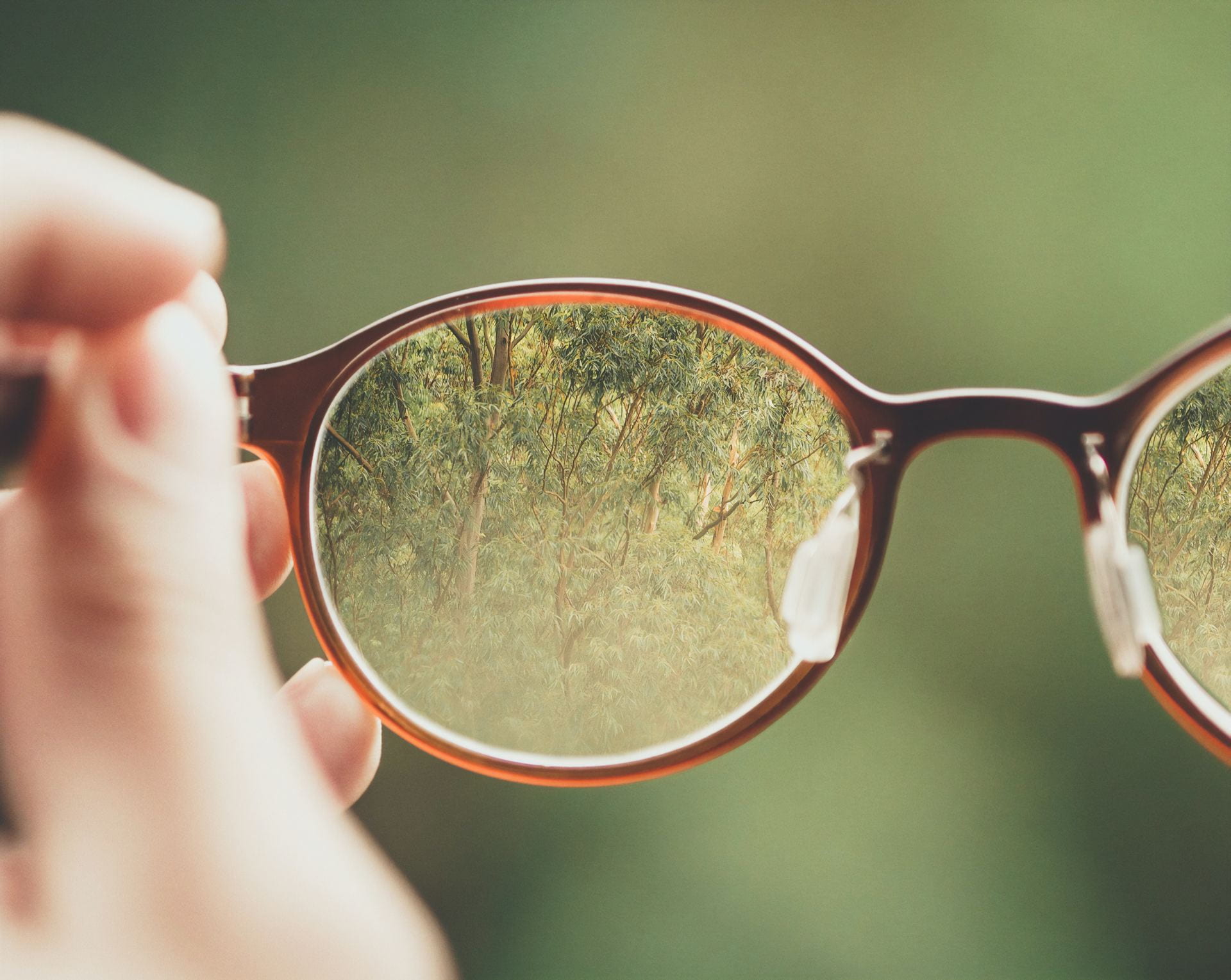 Person holding brown glasses with green trees background