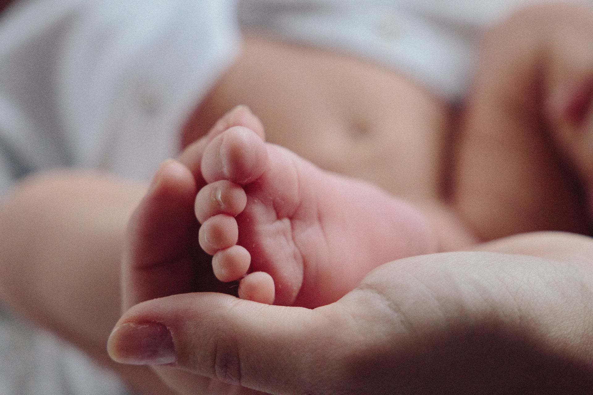 Hands holding newborn feet.